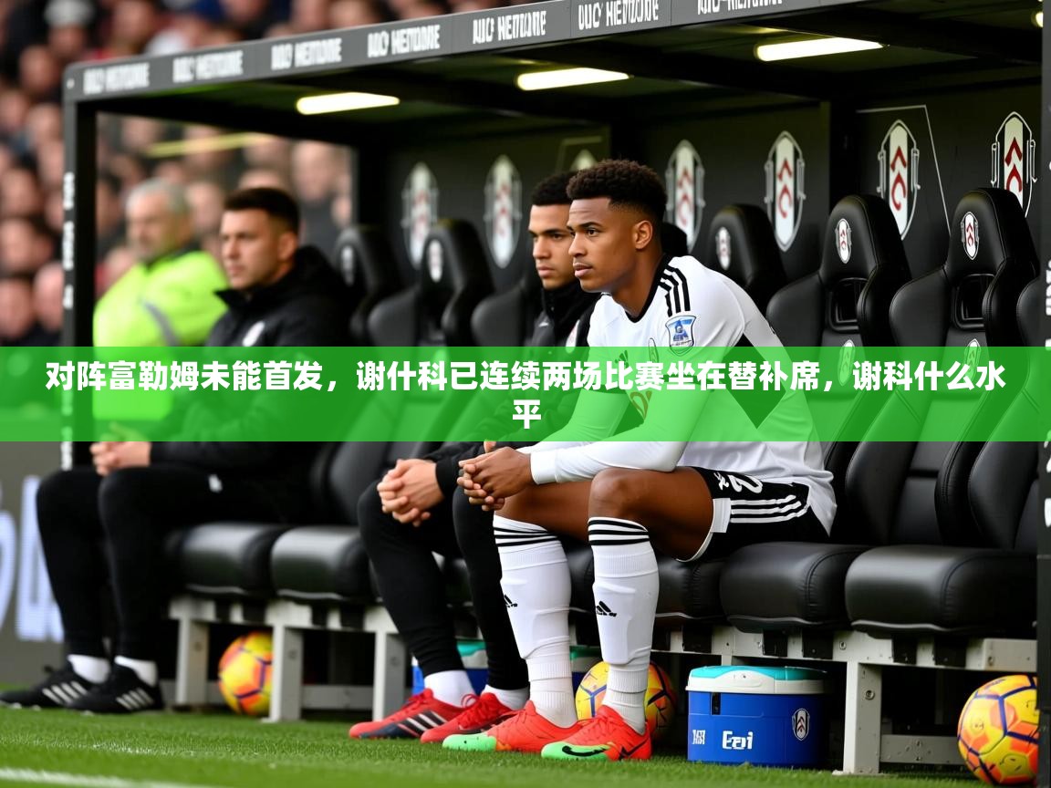 2025九游娱乐app信誉好对阵富勒姆未能首发，谢什科已连续两场比赛坐在替补席，谢科什么水平  第1张