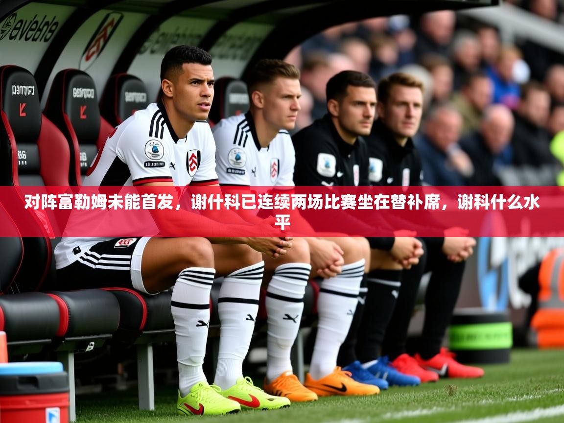 2025九游娱乐app信誉好对阵富勒姆未能首发，谢什科已连续两场比赛坐在替补席，谢科什么水平  第2张