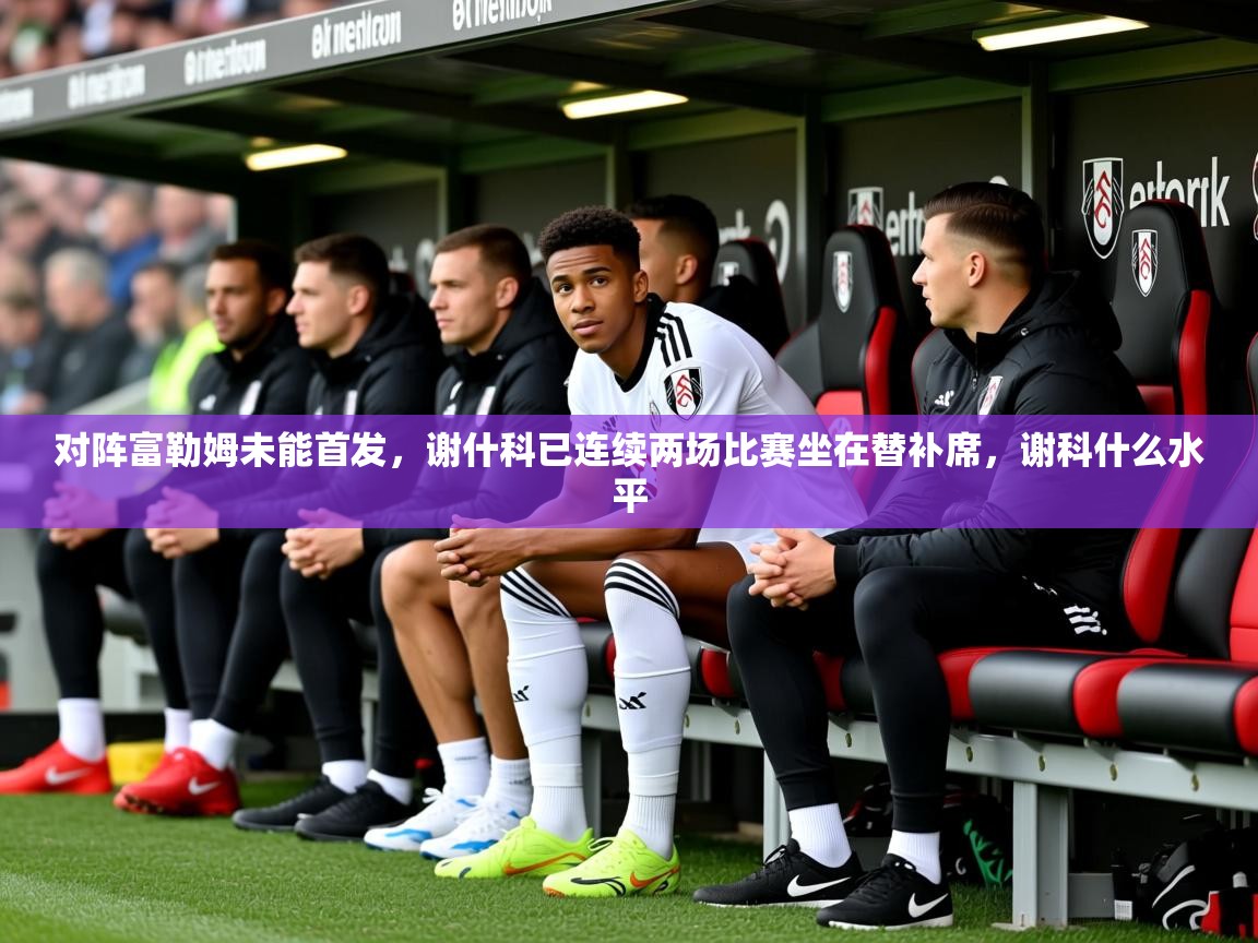 2025九游娱乐app信誉好对阵富勒姆未能首发，谢什科已连续两场比赛坐在替补席，谢科什么水平  第3张