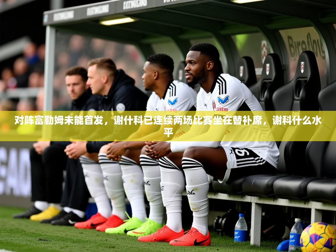 2025九游娱乐app信誉好对阵富勒姆未能首发，谢什科已连续两场比赛坐在替补席，谢科什么水平  第4张