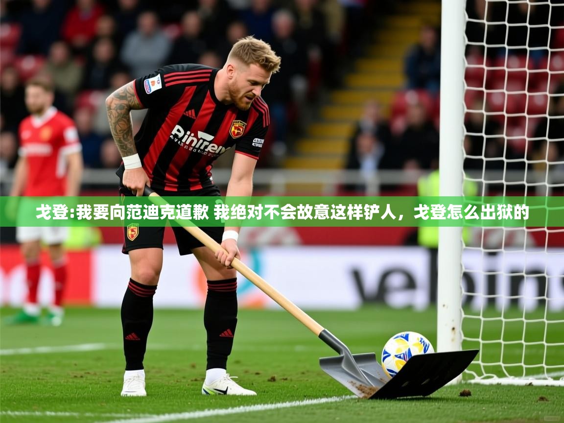 2025九游娱乐网页登录戈登:我要向范迪克道歉 我绝对不会故意这样铲人,戈登怎么出狱的 第2张