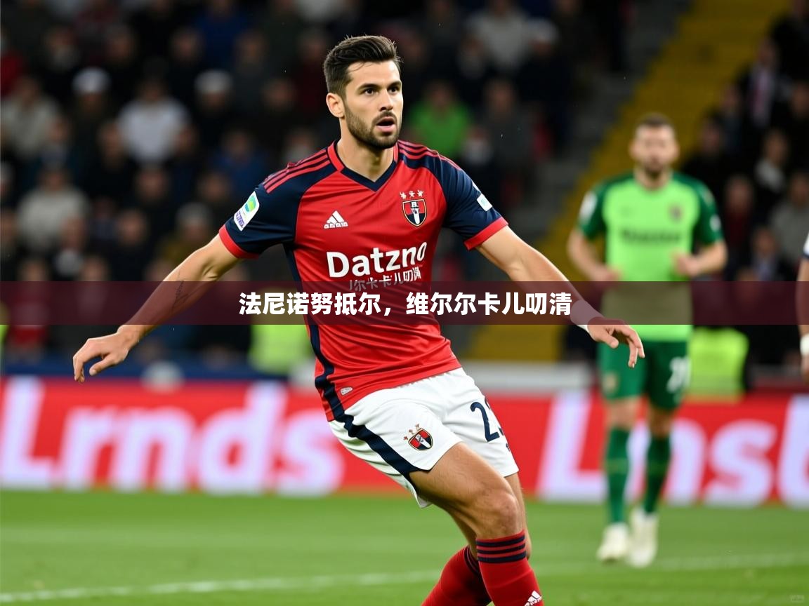 2025九游娱乐(中国)官方网站法尼诺努抵尔，维尔尔卡儿叨清  第1张