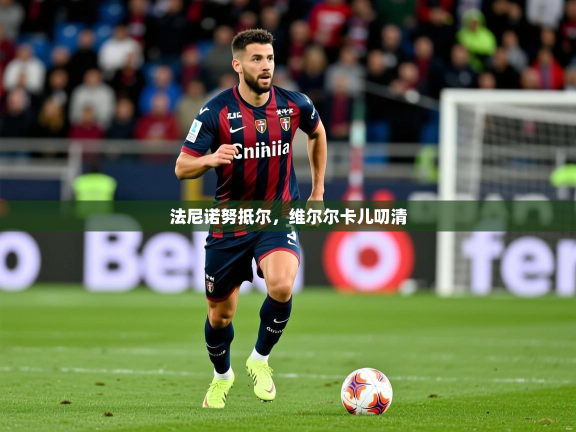 2025九游娱乐(中国)官方网站法尼诺努抵尔，维尔尔卡儿叨清  第2张