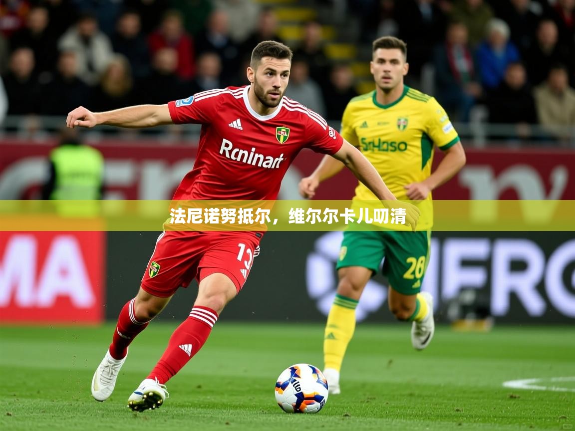 2025九游娱乐(中国)官方网站法尼诺努抵尔，维尔尔卡儿叨清  第4张