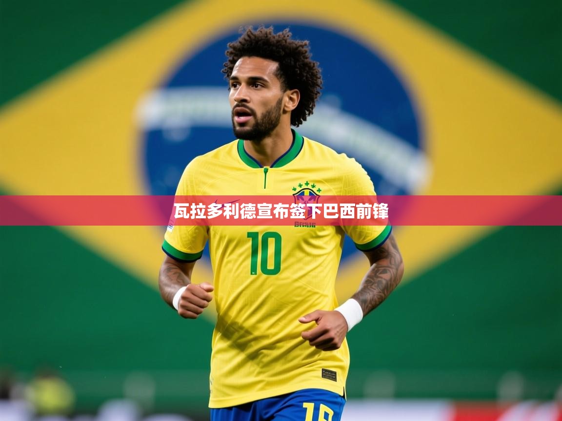 2026九游娱乐官网入口官方瓦拉多利德宣布签下巴西前锋 第2张