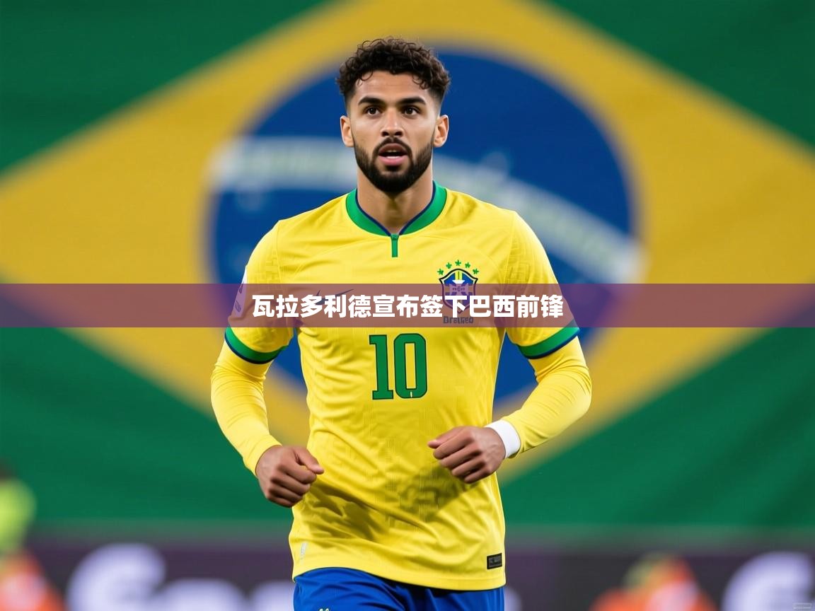 2026九游娱乐官网入口官方瓦拉多利德宣布签下巴西前锋 第4张
