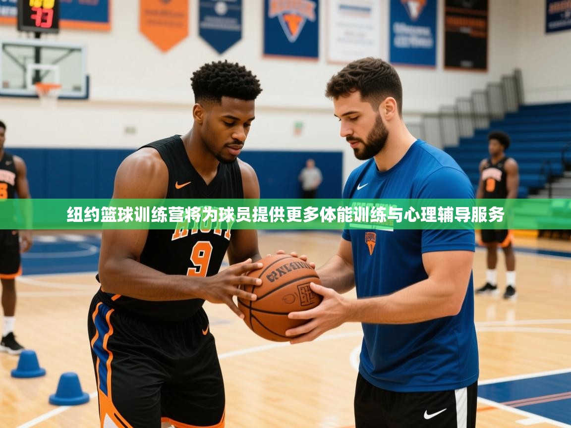 2026九游娱乐官网入口网页版官方纽约篮球训练营将为球员提供更多体能训练与心理辅导服务 第2张