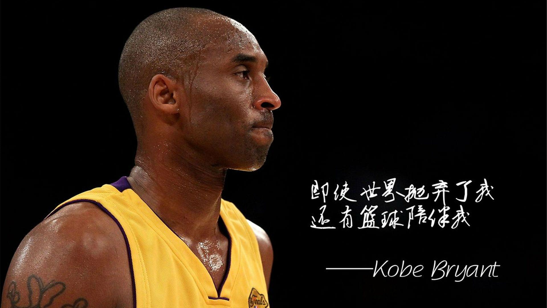 登顶之战！胜者将成为体育赛场的巨星的简单介绍
